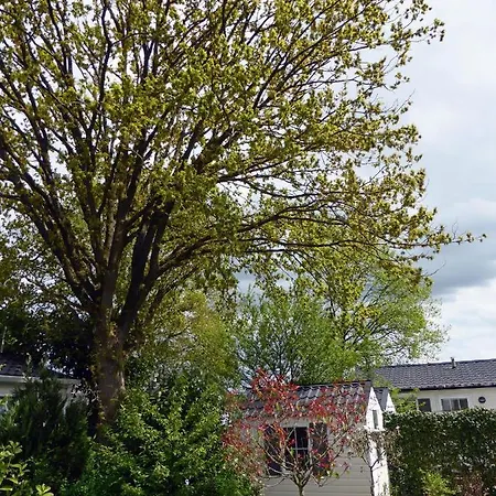 Tiny House Appelvinkje, Met Bedstee In Bosrijke Omgeving בקתה *