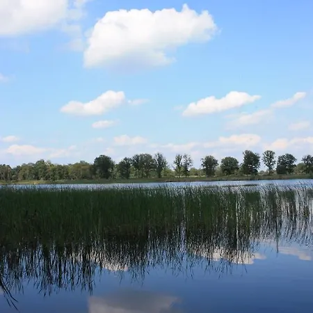 בקתה Tiny House Appelvinkje, Met Bedstee In Bosrijke Omgeving *