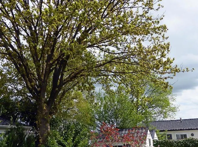 Tiny House Appelvinkje, Met Bedstee In Bosrijke Omgeving Σαλέ *