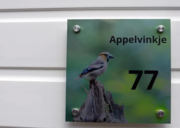 Tiny House Appelvinkje, Met Bedstee In Bosrijke Omgeving * Oisterwijk