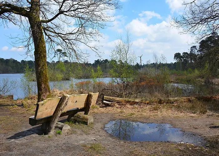 Tiny House Appelvinkje, Met Bedstee In Bosrijke Omgeving *