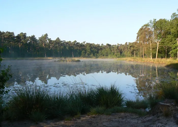 Σαλέ Tiny House Appelvinkje, Met Bedstee In Bosrijke Omgeving