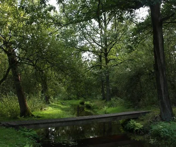 Σαλέ Tiny House Appelvinkje, Met Bedstee In Bosrijke Omgeving